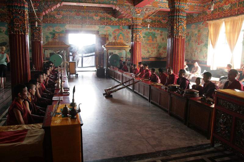 India & Nepal 2011 - 0454